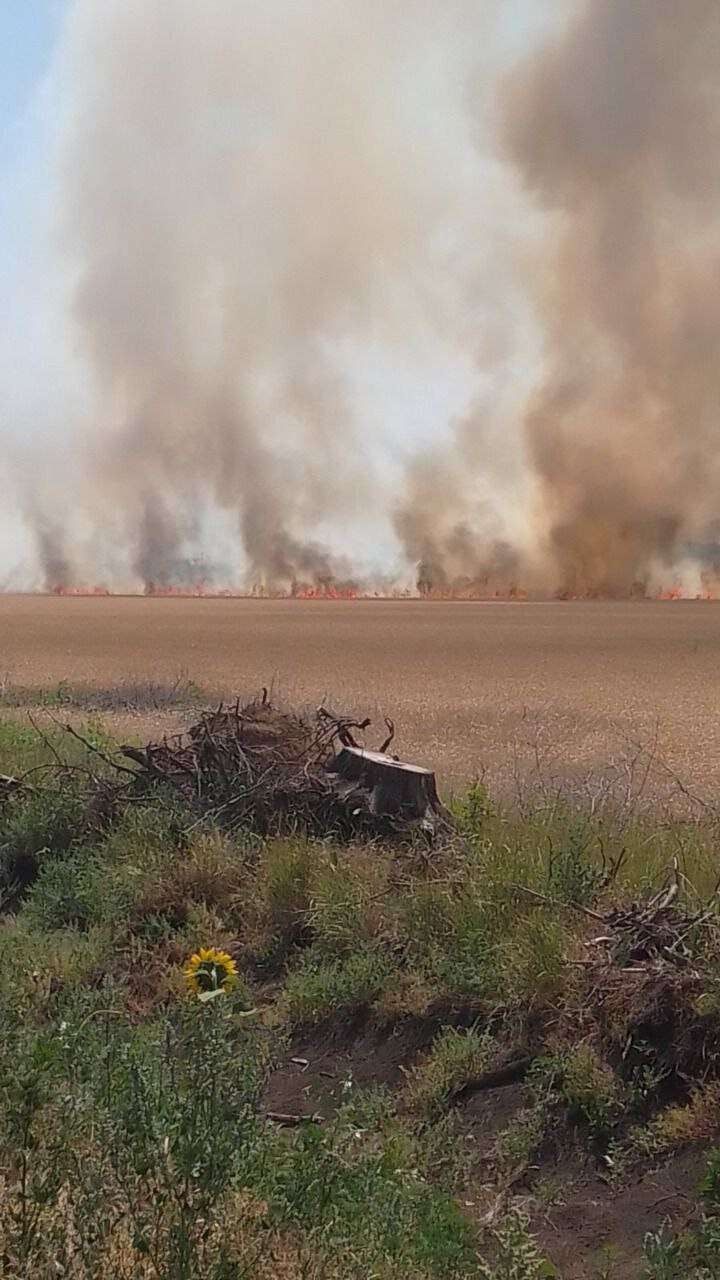 пожар в поле