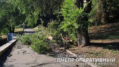 сломалось дерево