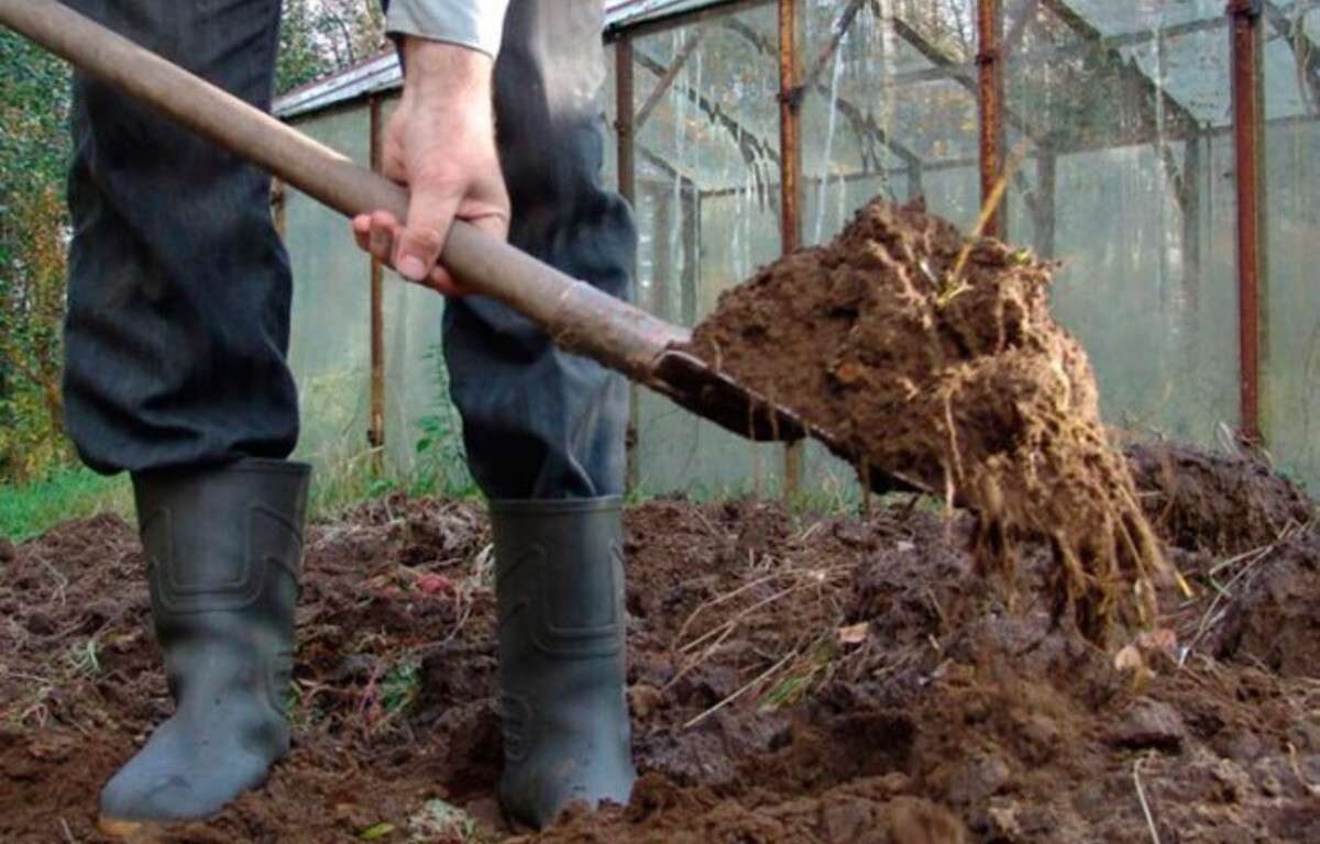 Можно ли перекапывать землю. Лопата для навоза. Перекапывание почвы. Перекопка огорода. Копать грядки.