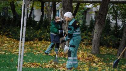 коммунальщики парк