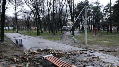 повалило дерево и столб