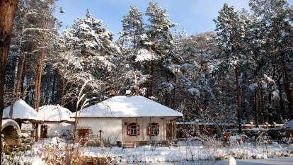 Украинское село