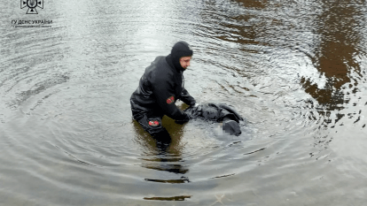 утопленник на Победе