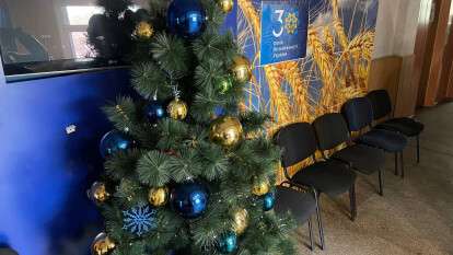 новогодняя елка