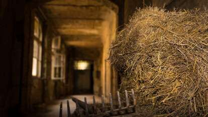 труп в сене