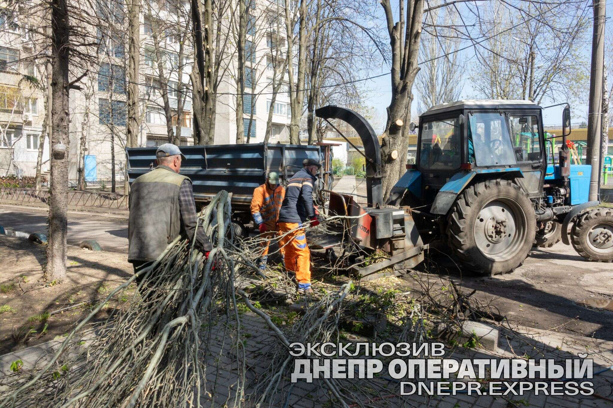 Аварийное дерево Днепр