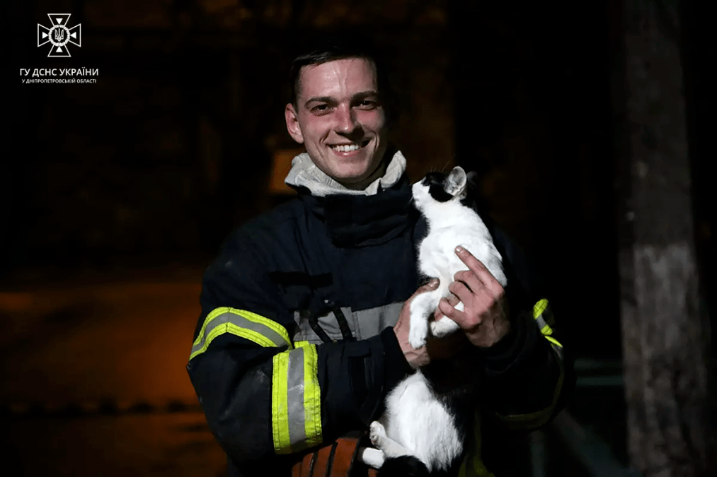 Пожарный и кот