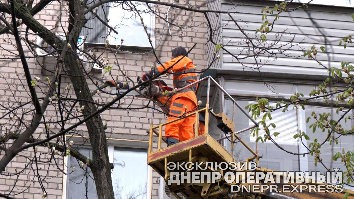 Выкорчёвывание деревьев с помощью колеса набирает популярность | Пикабу