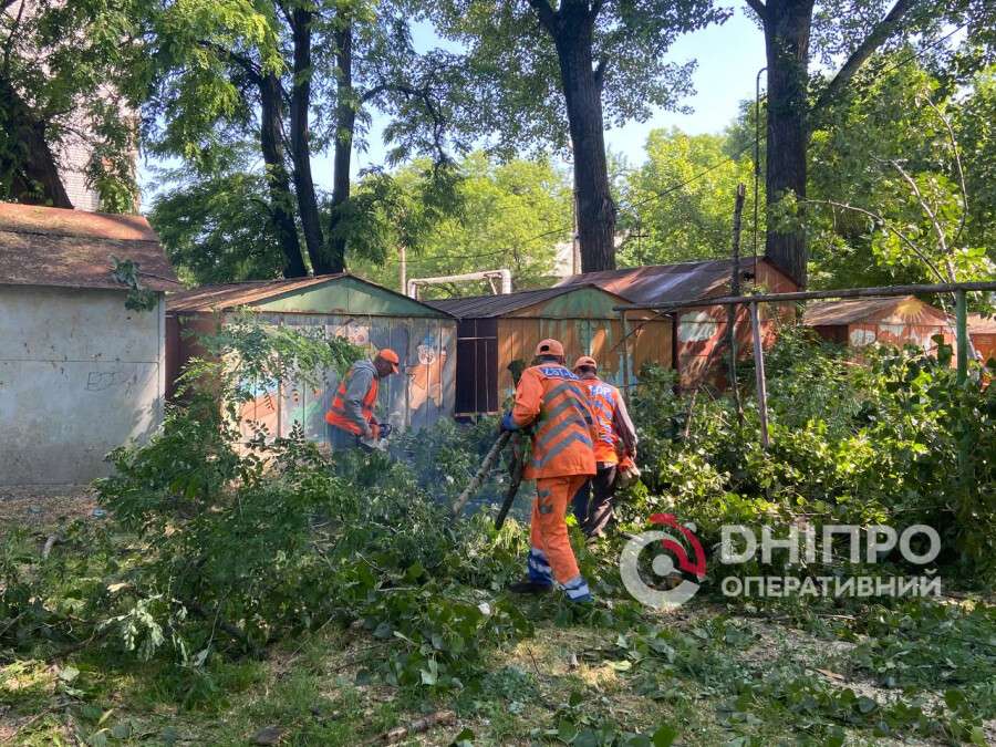 прибирають дерева на Хмельницького