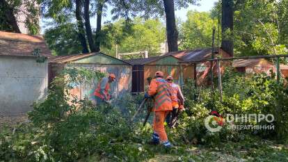 прибирають дерева на Хмельницького