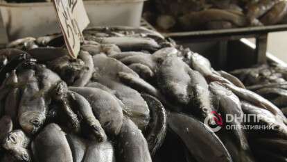 Проверка продавцов рыбы на рынках Днепра