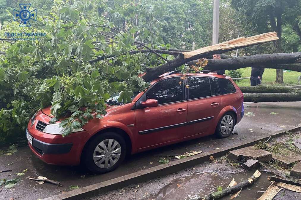 Дерево упало на автомобиль