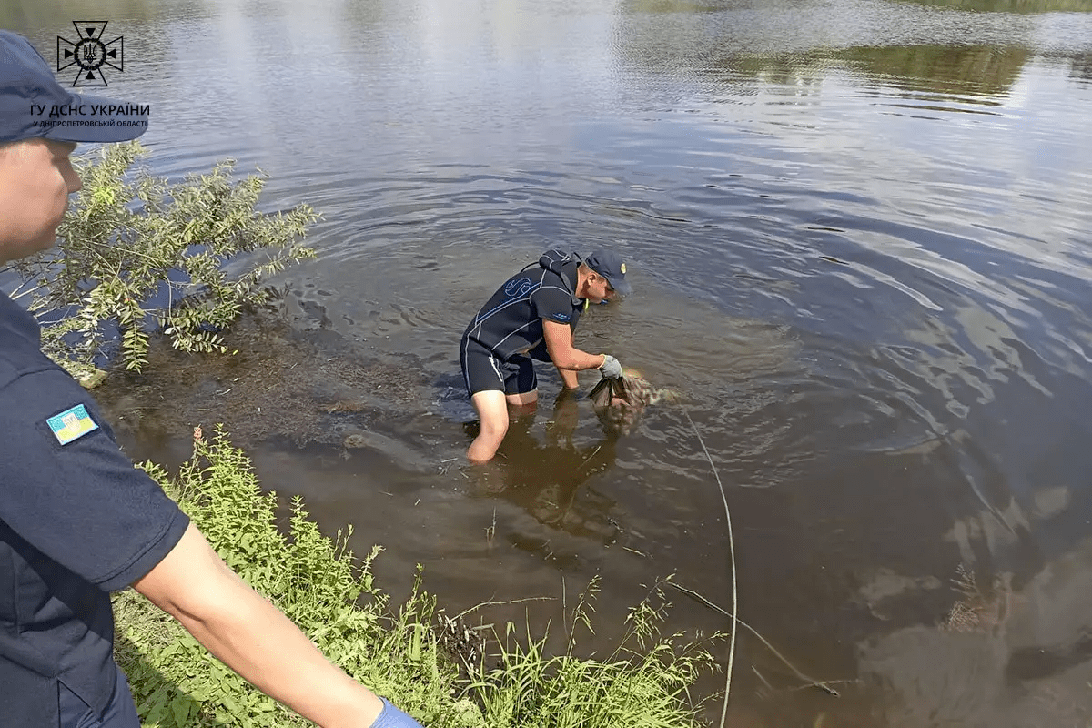 Потопельник у Курячому