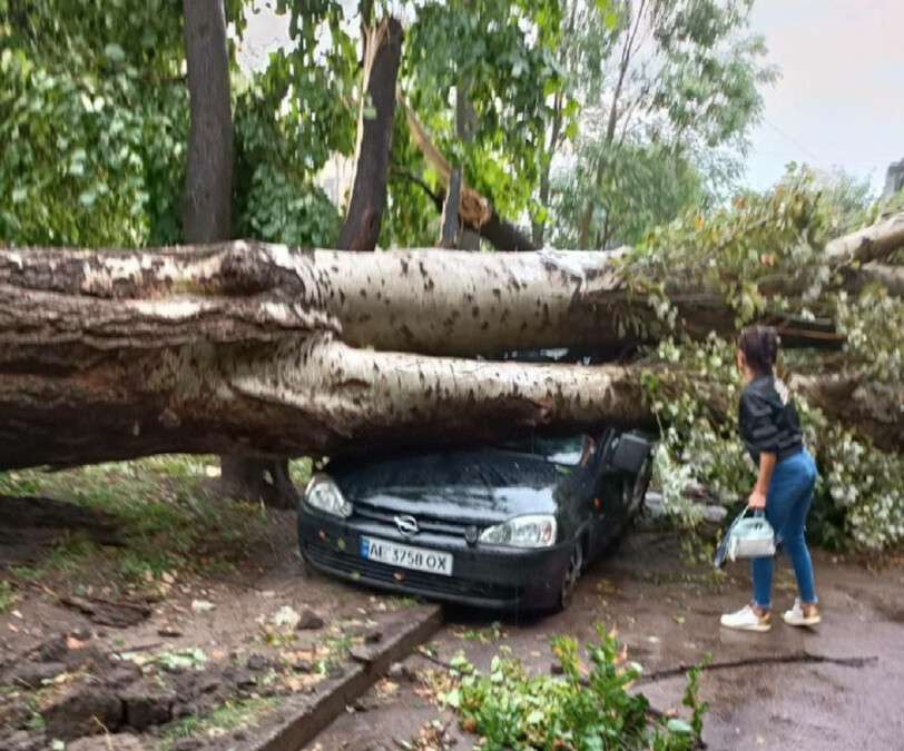 Дерево упало на машину