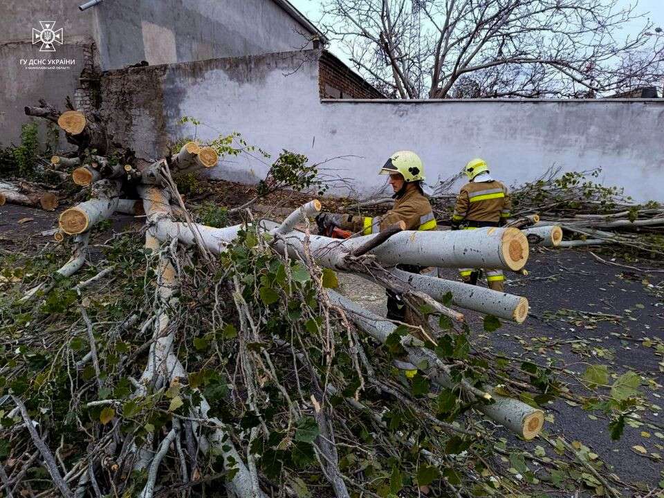 Спасатели убрали дерево