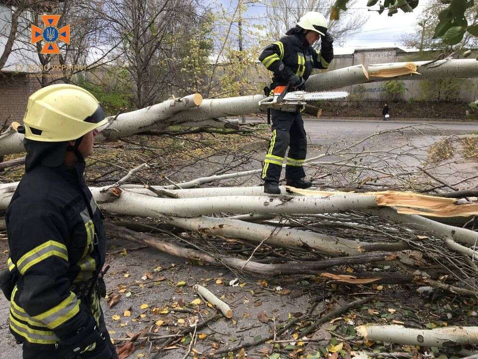 Спасатели убрали дерево