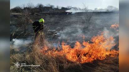 Пожежі в екосистемах