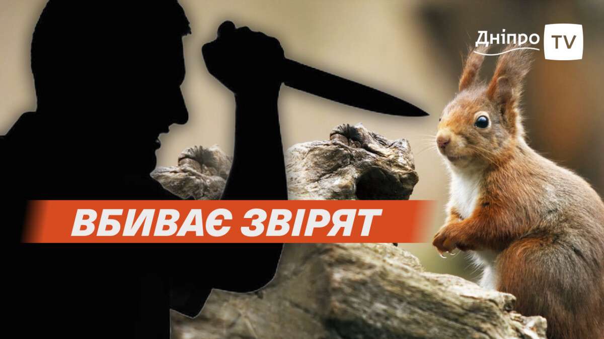 Вбивство білки