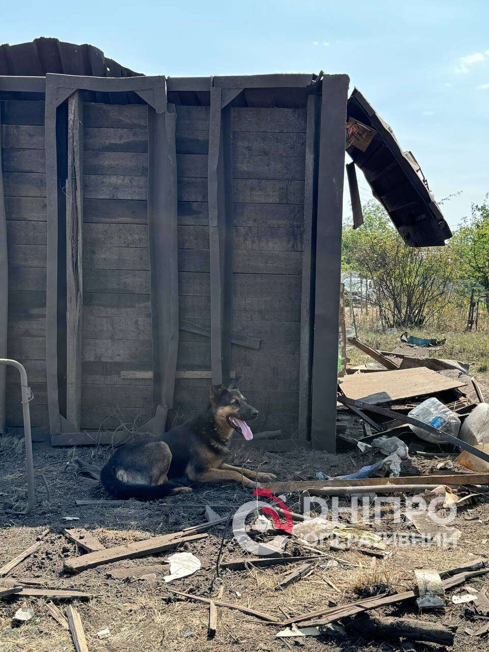 Двор погибшего