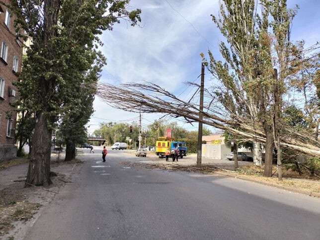 Дерево впало Кривий Ріг