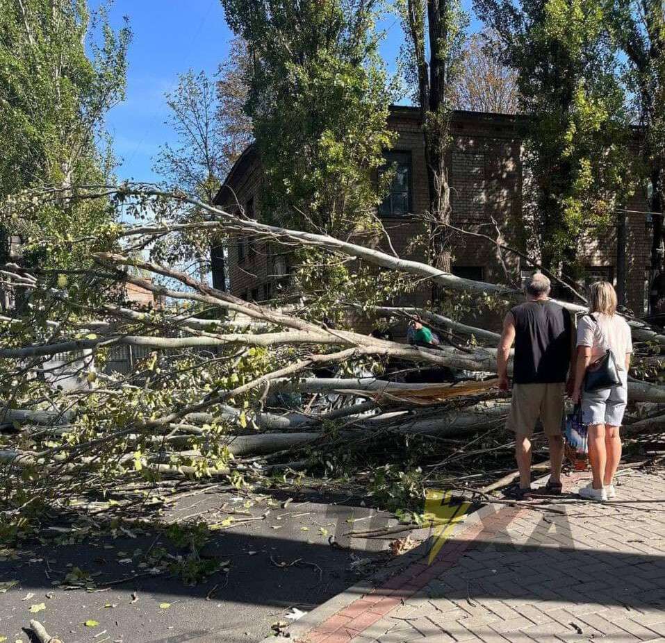 упало на авто с ребенком