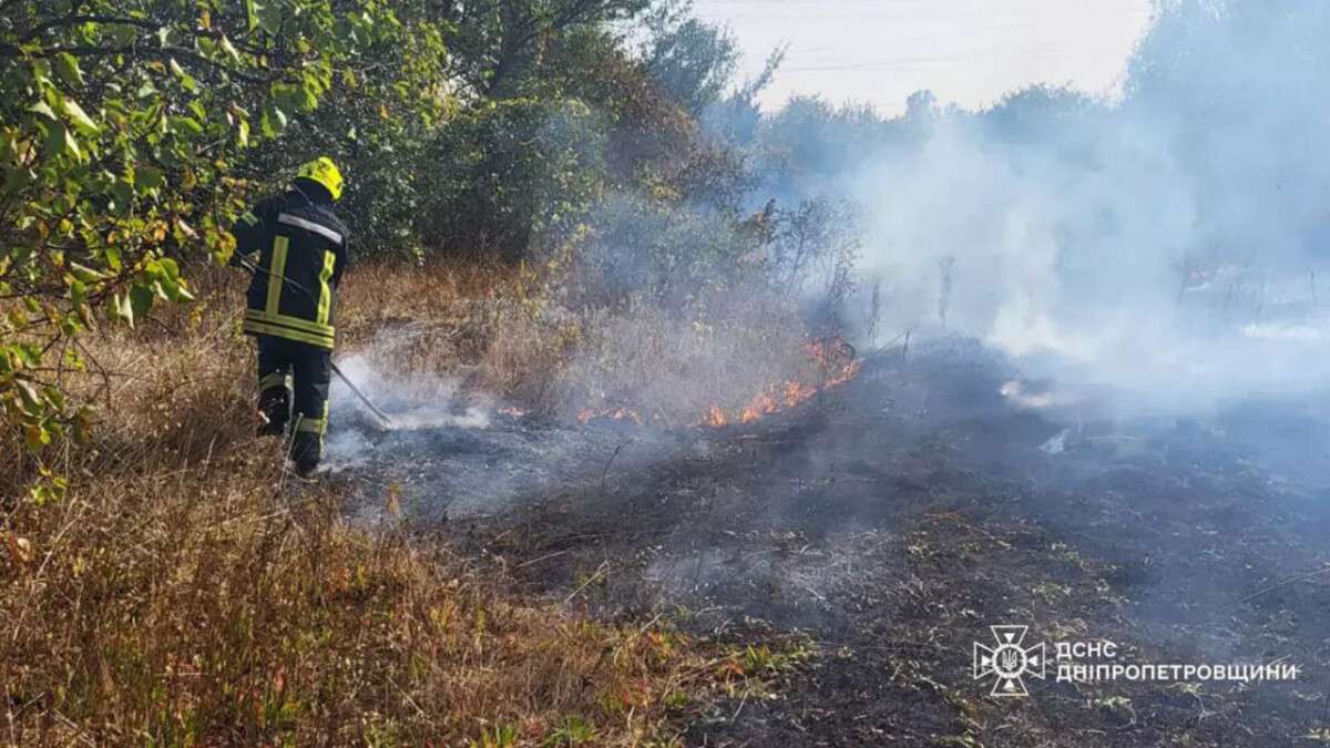 Пожары в экосистемах