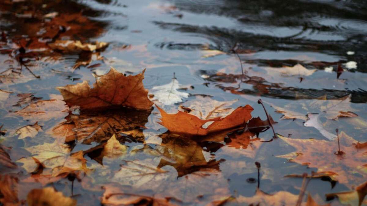 Погода в Днепре дождь