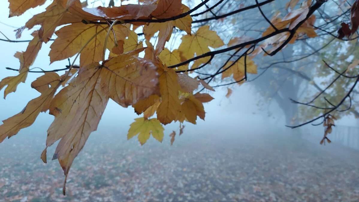 Погода в Дніпрі