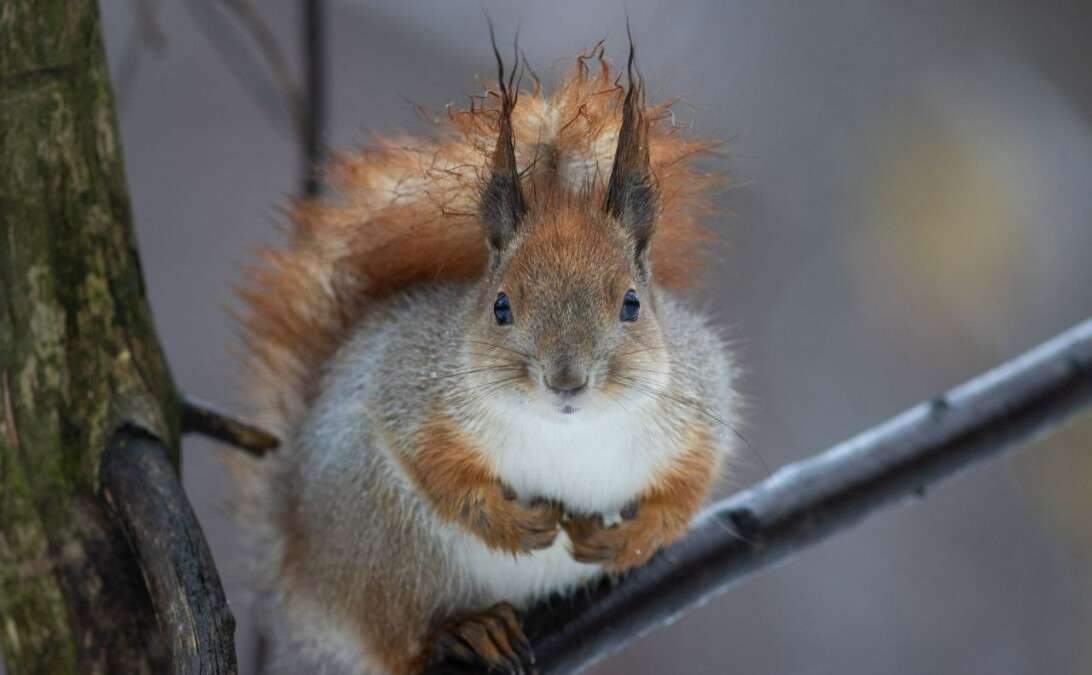 Погода в Дненре январь