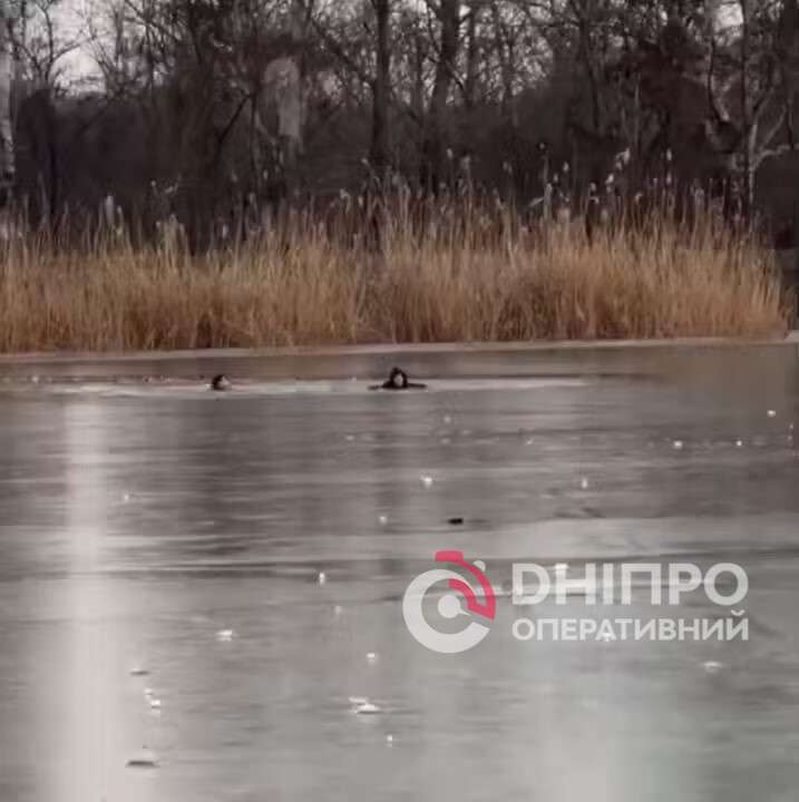 Діти провалилися під кригу