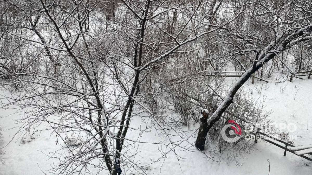 Погода в Днепре зима