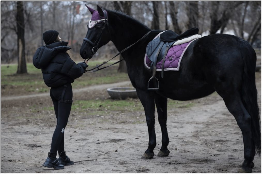 Покататись на конях Дніпро ціни