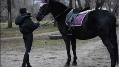 Покататись на конях Дніпро ціни