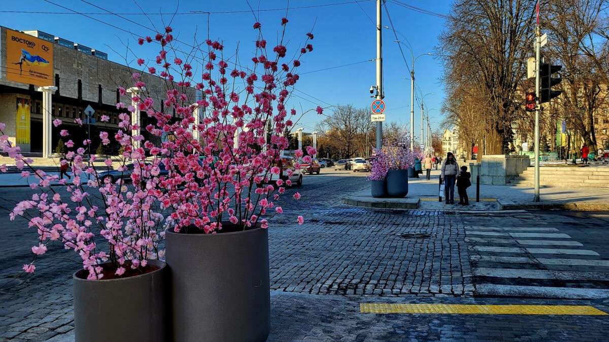 Цветы в Харькове