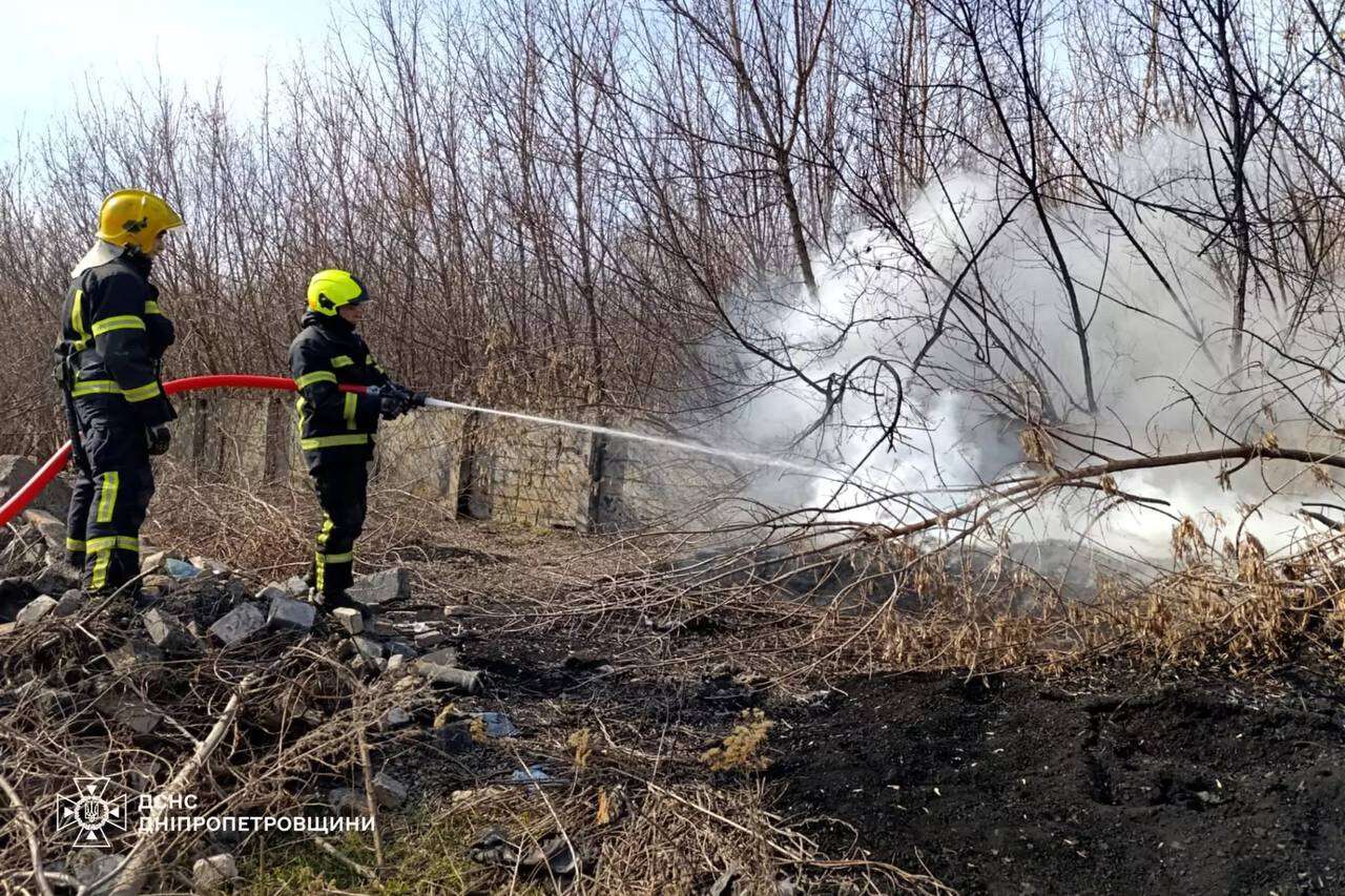 Пожежі в екосистемах