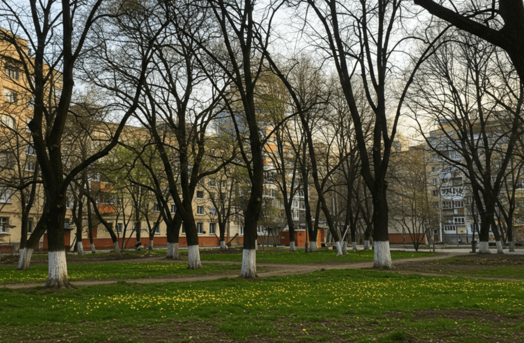 Погода в Днепре март