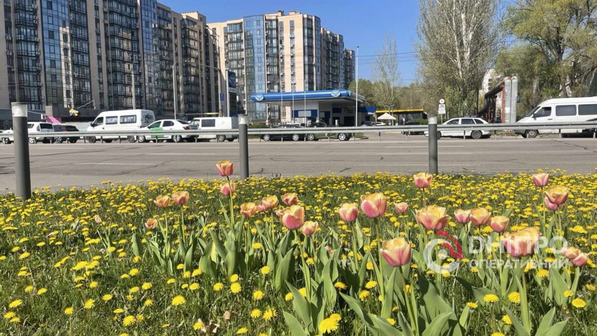 Погода в Днепре