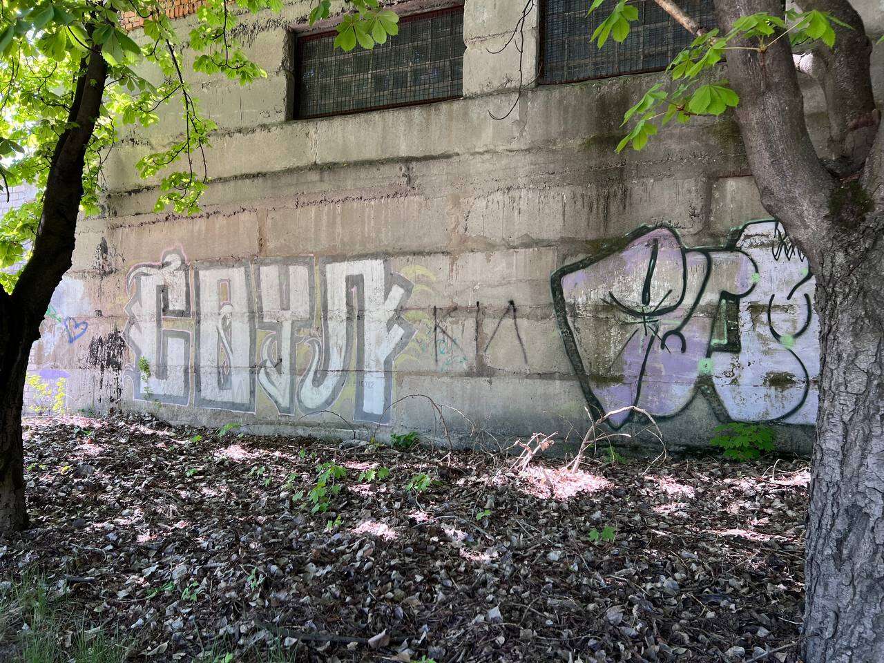 В каком состоянии ДНУ