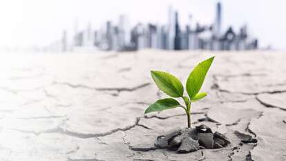 Экологические преступления