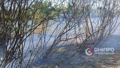 Пожар на пляже в Днепре