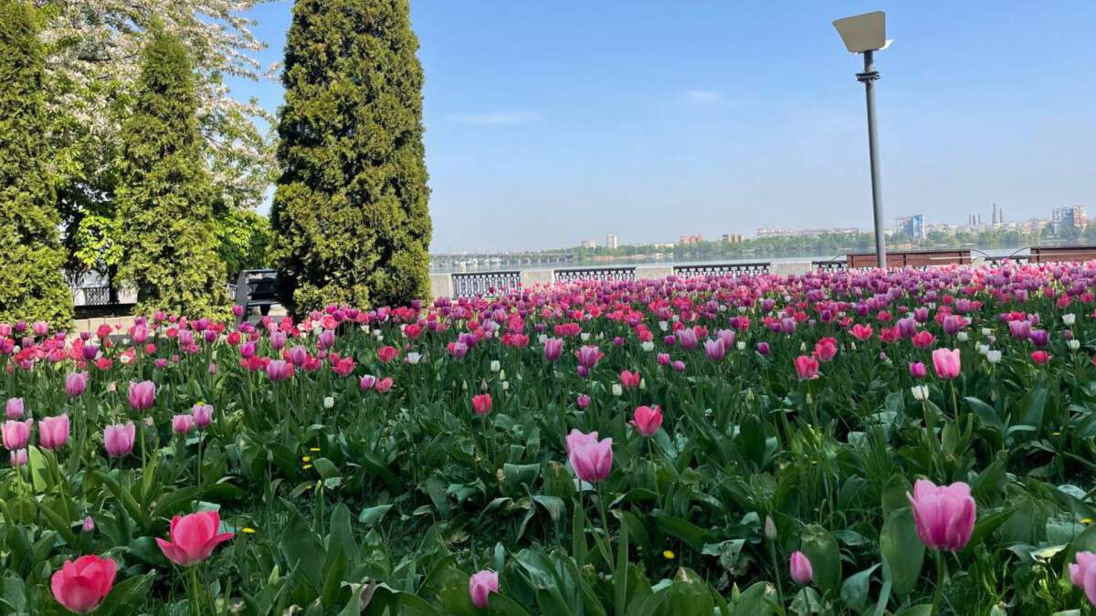 Погода в Днепре весна