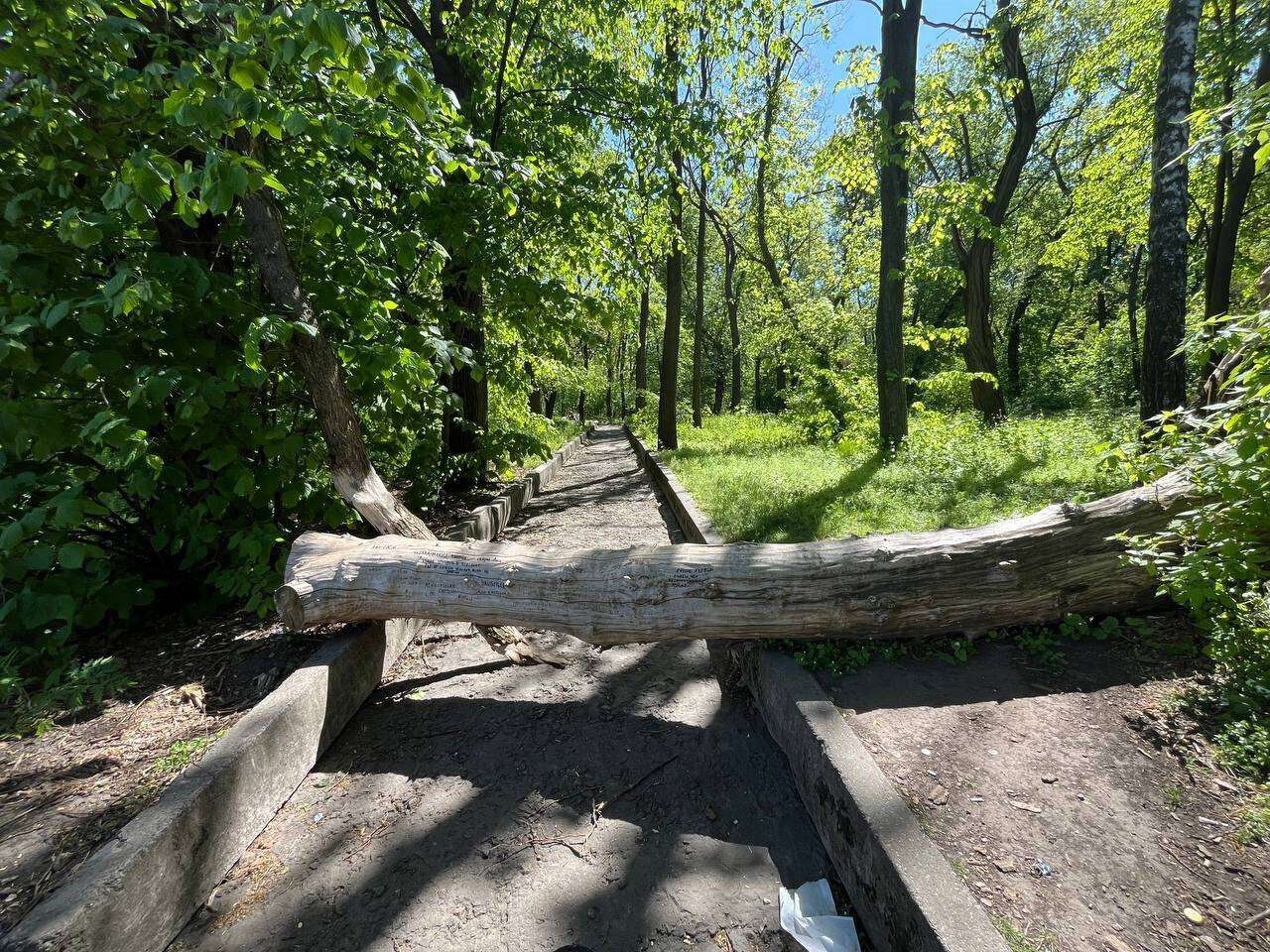 Вместо престижного заведения – руины и свалка