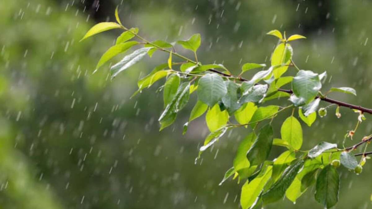 Погода у Дніпрі дощ