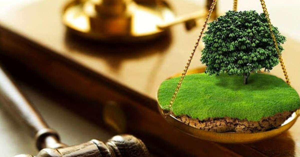 Земельные нарушения