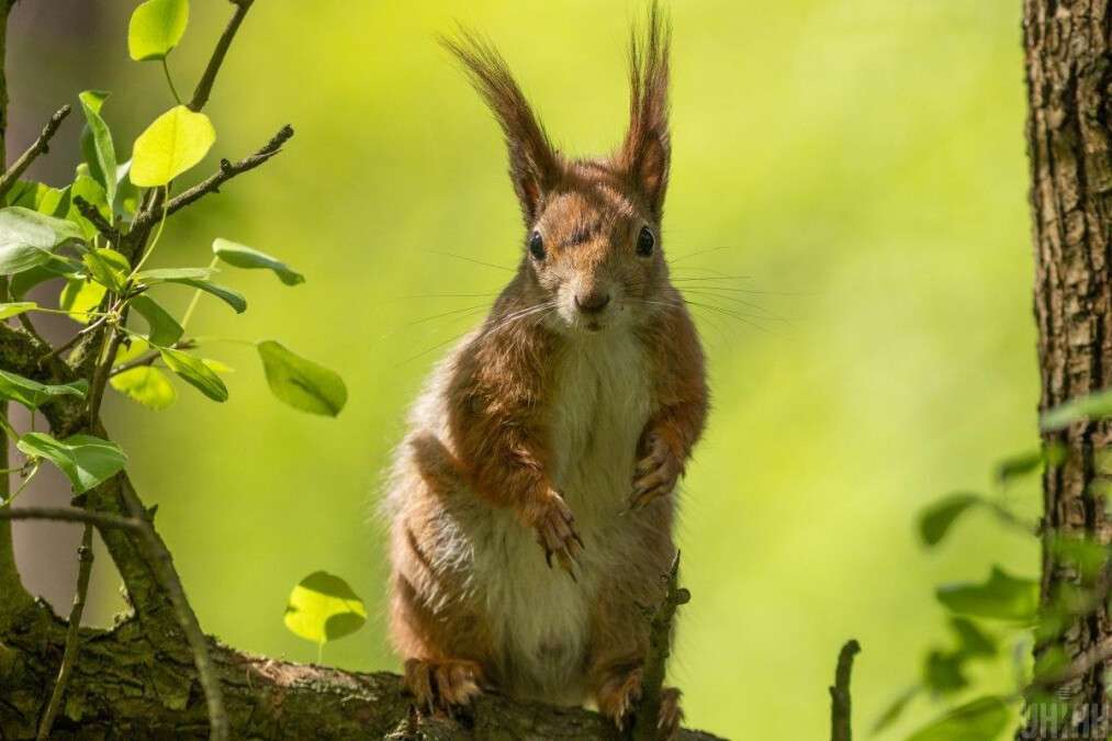 Погода в Дніпрі травень
