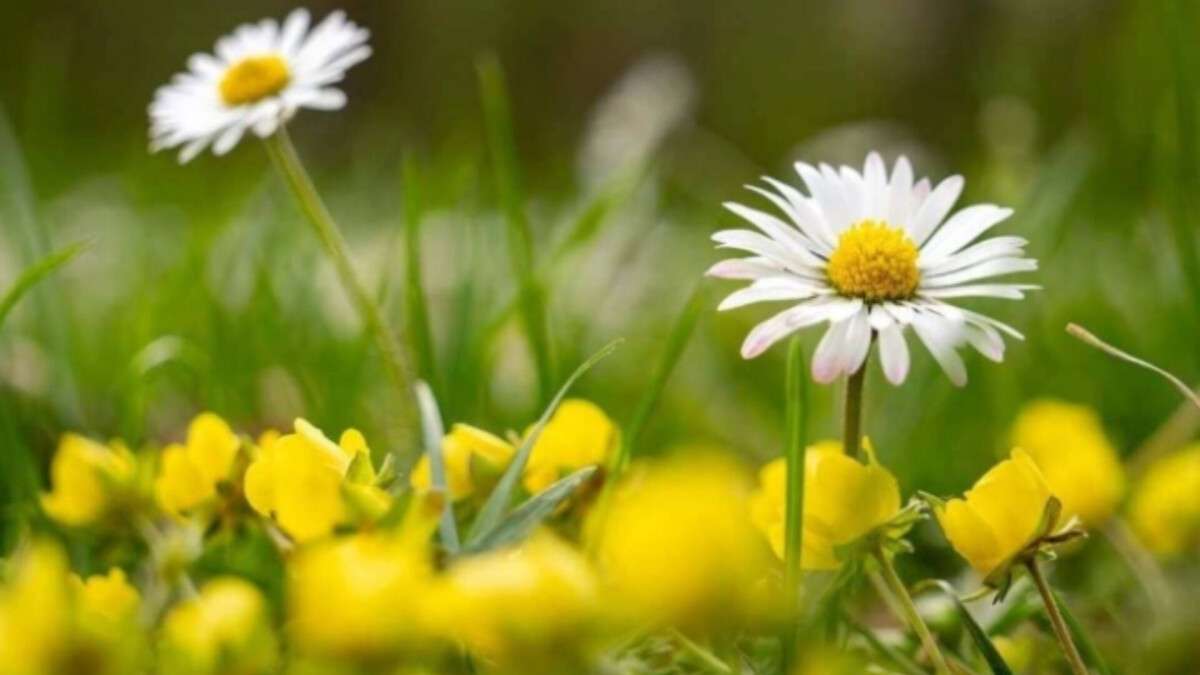 Погода у Дніпрі весна