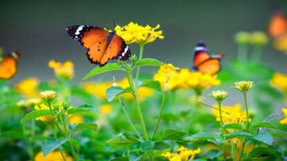 Погода у Дніпрі весна