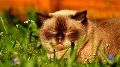 Погода в Днепре июнь