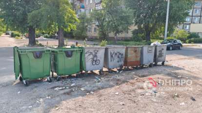 За викид великогабаритного сміття покарали ще одного порушника