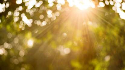 Погода в Днепре лето